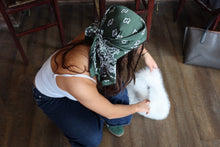 Load image into Gallery viewer, LUCKY GREEN SATIN BANDANA