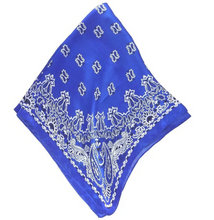 Load image into Gallery viewer, PAISLEY PRINT SCARF