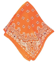 Load image into Gallery viewer, PAISLEY PRINT SCARF